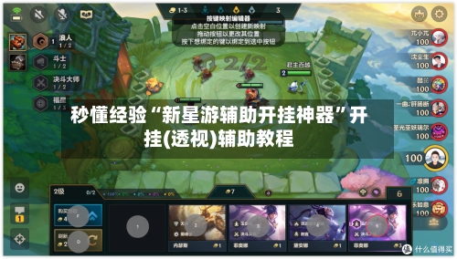 秒懂经验“新星游辅助开挂神器”开挂(透视)辅助教程-第2张图片