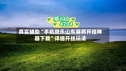 真实辅助“手机微乐山东麻将开挂神器下载”详细开挂玩法-第3张图片
