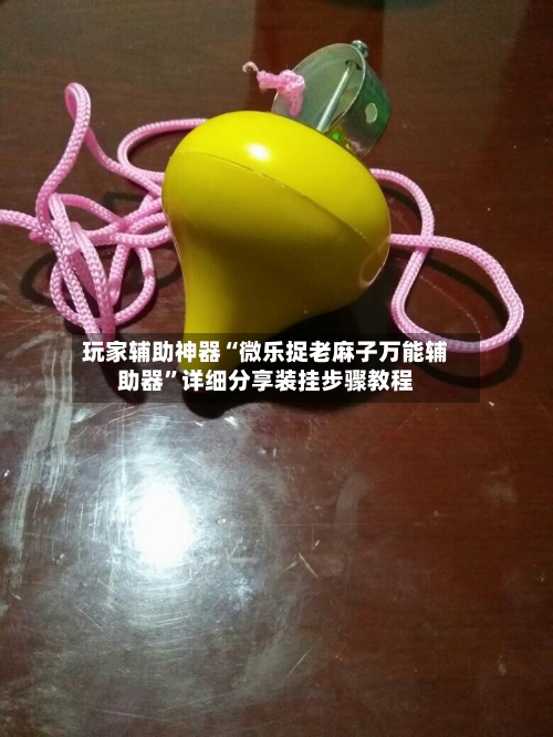 玩家辅助神器“微乐捉老麻子万能辅助器	”详细分享装挂步骤教程-第3张图片
