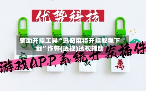 辅助开挂工具“迅奇麻将开挂教程下载”作弊(透视)透视辅助-第2张图片