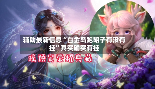 辅助最新信息“白金岛跑胡子有没有挂	”其实确实有挂-第2张图片