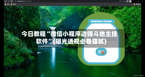 今日教程“微信小程序边锋斗地主挂软件	”(曝光透视必备猫腻)-第2张图片