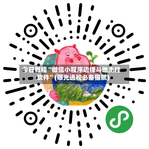 今日教程“微信小程序边锋斗地主挂软件”(曝光透视必备猫腻)-第3张图片