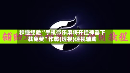 秒懂经验“手机微乐麻将开挂神器下载免费”作弊(透视)透视辅助-第2张图片