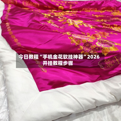 今日教程“手机金花软挂神器”2026开挂教程步骤-第2张图片