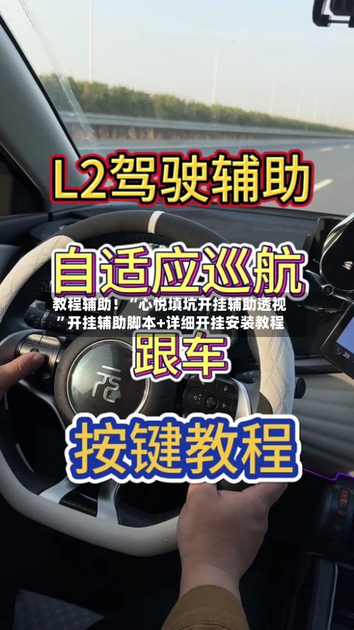 教程辅助！“心悦填坑开挂辅助透视”开挂辅助脚本+详细开挂安装教程-第2张图片