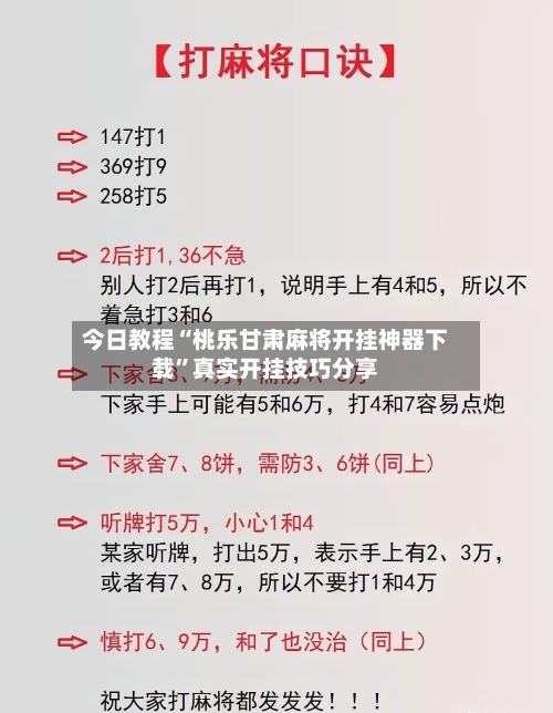 今日教程“桃乐甘肃麻将开挂神器下载	”真实开挂技巧分享-第2张图片