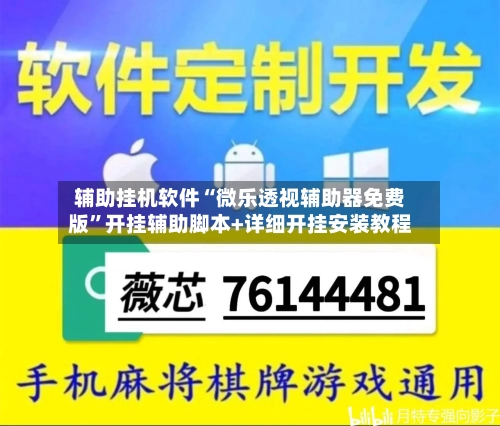 辅助挂机软件“微乐透视辅助器免费版	”开挂辅助脚本+详细开挂安装教程-第2张图片