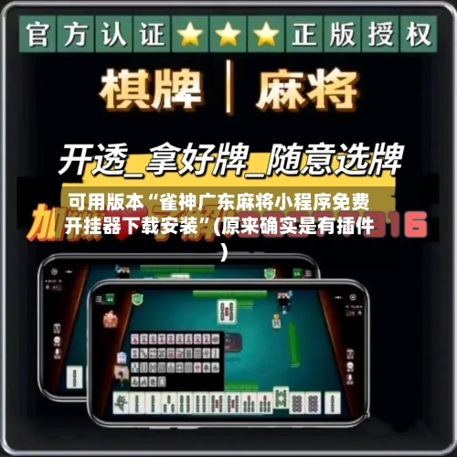 可用版本“雀神广东麻将小程序免费开挂器下载安装”(原来确实是有插件)-第2张图片