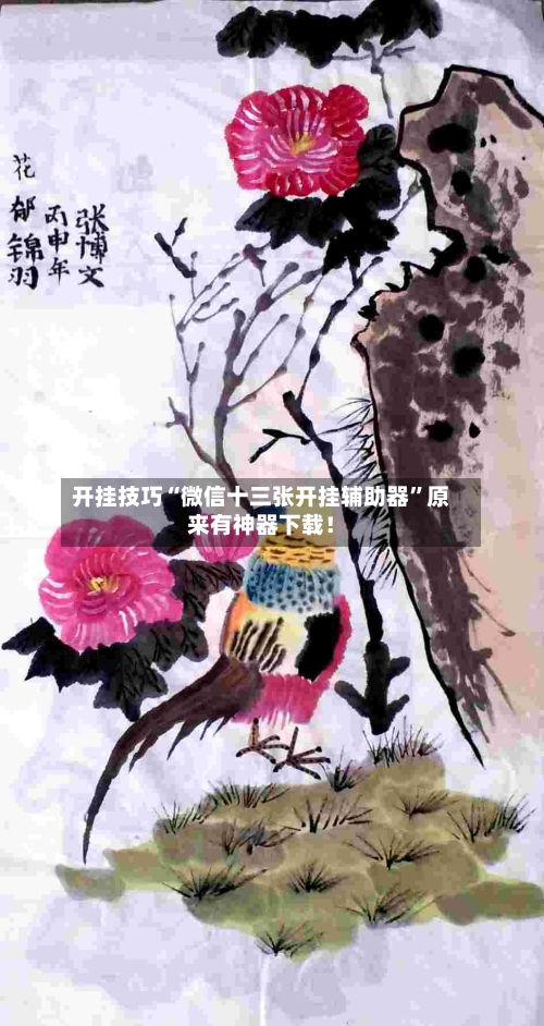 开挂技巧“微信十三张开挂辅助器”原来有神器下载！