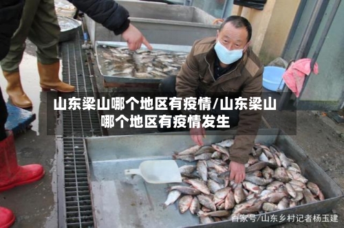 山东梁山哪个地区有疫情/山东梁山哪个地区有疫情发生-第2张图片
