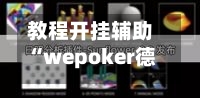 教程开挂辅助“wepoker德州 一键透视购买	”开挂(透视)辅助教程-第2张图片