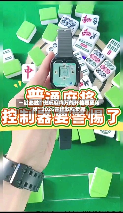 一键必胜“微乐麻将万能开挂器通用版”2026开挂教程步骤-第2张图片