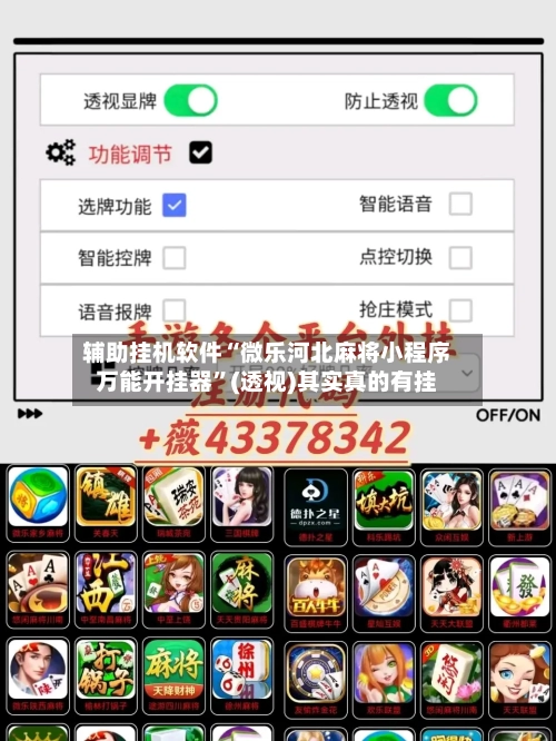 辅助挂机软件“微乐河北麻将小程序万能开挂器”(透视)其实真的有挂-第2张图片