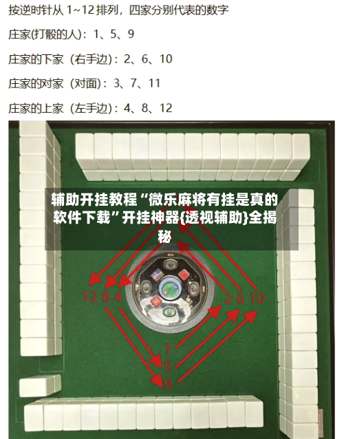 辅助开挂教程“微乐麻将有挂是真的软件下载	”开挂神器{透视辅助}全揭秘-第3张图片
