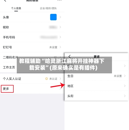 教程辅助“哈灵浙江麻将开挂神器下载安装”(原来确实是有插件)-第2张图片