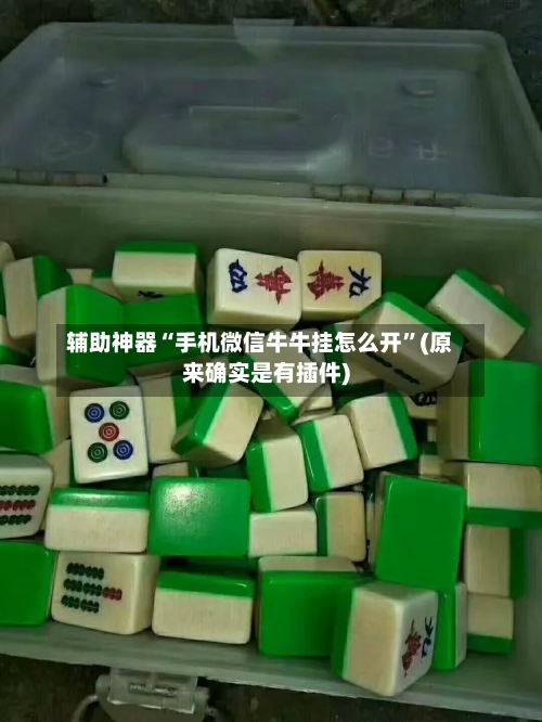 辅助神器“手机微信牛牛挂怎么开”(原来确实是有插件)-第3张图片