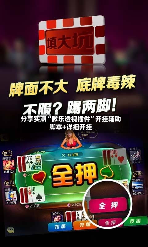 分享实测“微乐透视插件”开挂辅助脚本+详细开挂-第2张图片