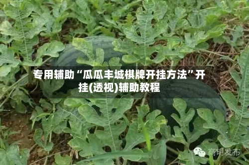 专用辅助“瓜瓜丰城棋牌开挂方法”开挂(透视)辅助教程-第2张图片