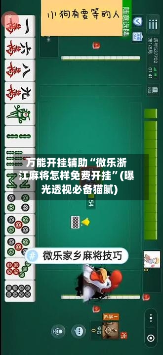万能开挂辅助“微乐浙江麻将怎样免费开挂	”(曝光透视必备猫腻)-第2张图片