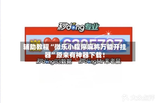 辅助教程“微乐小程序麻将万能开挂器”原来有神器下载！-第3张图片