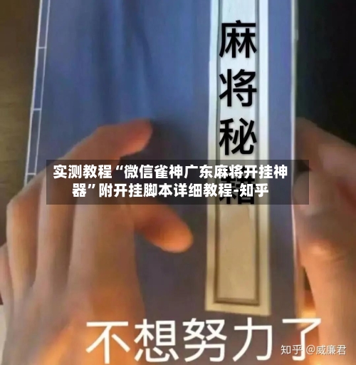 实测教程“微信雀神广东麻将开挂神器”附开挂脚本详细教程-知乎-第2张图片