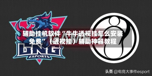 辅助挂机软件“牛牛透视挂怎么安装免费”（透视挂）辅助神器教程-第3张图片
