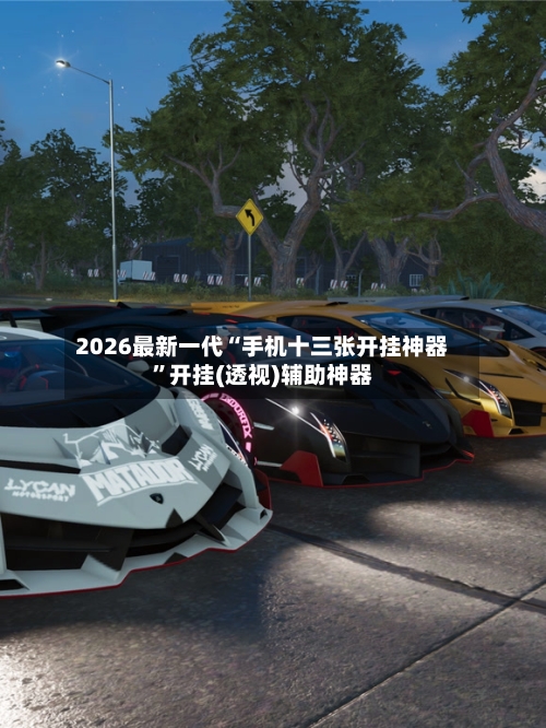 2026最新一代“手机十三张开挂神器”开挂(透视)辅助神器