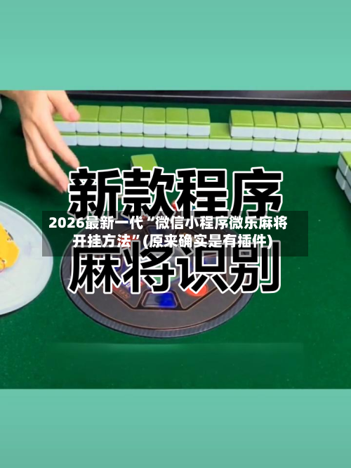 2026最新一代“微信小程序微乐麻将开挂方法”(原来确实是有插件)-第2张图片