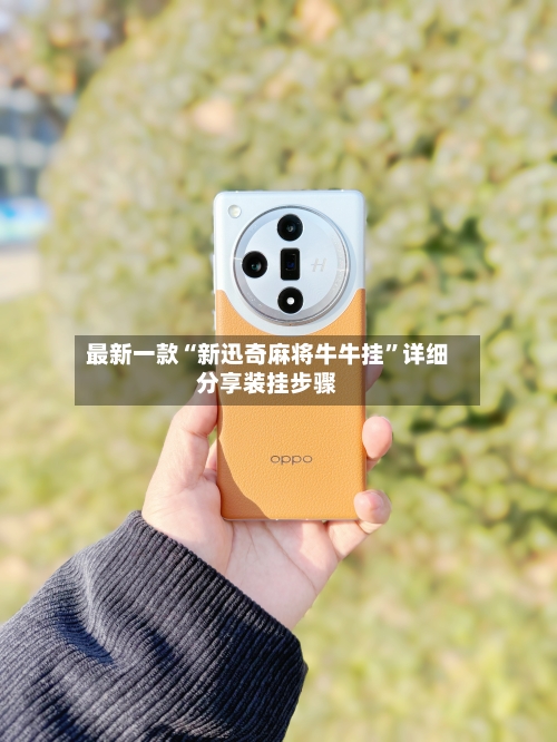 最新一款“新迅奇麻将牛牛挂	”详细分享装挂步骤-第2张图片