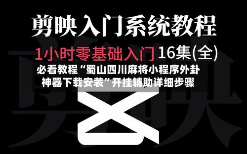 必看教程“蜀山四川麻将小程序外卦神器下载安装”开挂辅助详细步骤-第3张图片