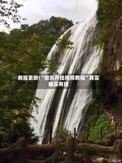 教程更新!“微乐开挂视频教程”其实确实有挂-第2张图片