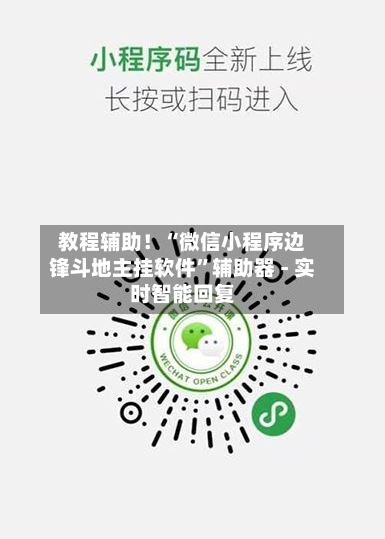 教程辅助！“微信小程序边锋斗地主挂软件”辅助器 - 实时智能回复-第2张图片