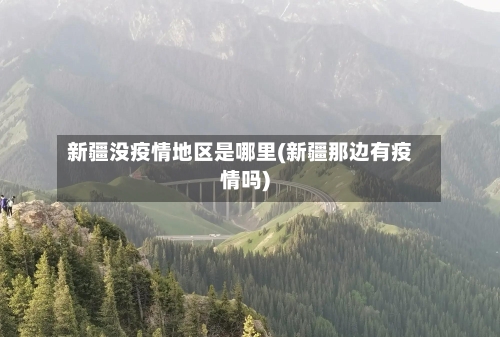 新疆没疫情地区是哪里(新疆那边有疫情吗)