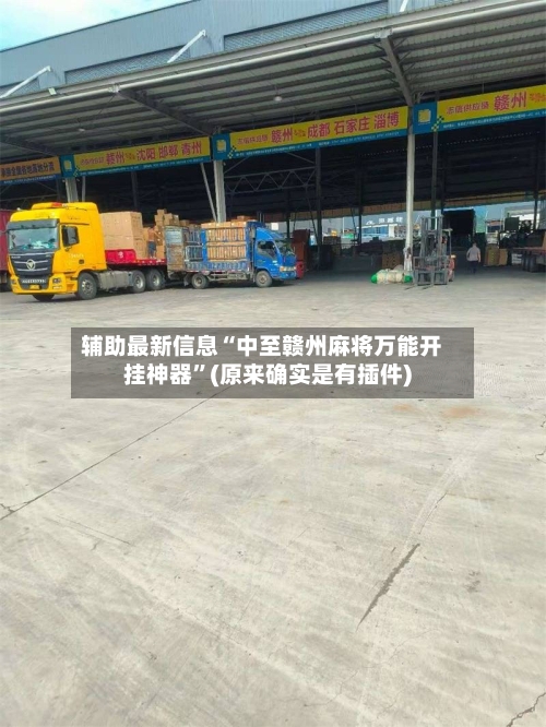 辅助最新信息“中至赣州麻将万能开挂神器”(原来确实是有插件)-第3张图片