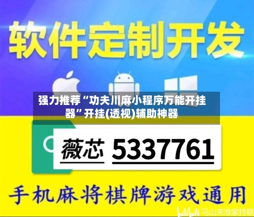 强力推荐“功夫川麻小程序万能开挂器”开挂(透视)辅助神器-第2张图片