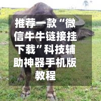 推荐一款“微信牛牛链接挂下载	”科技辅助神器手机版教程-第2张图片