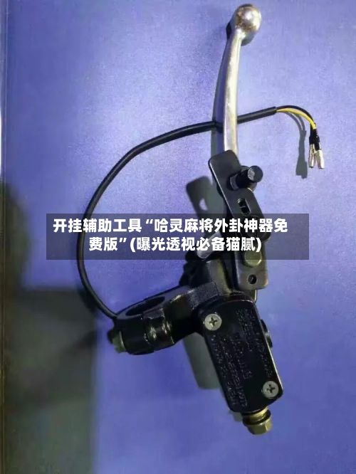 开挂辅助工具“哈灵麻将外卦神器免费版”(曝光透视必备猫腻)-第2张图片