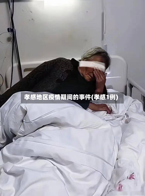 孝感地区疫情期间的事件(孝感1例)