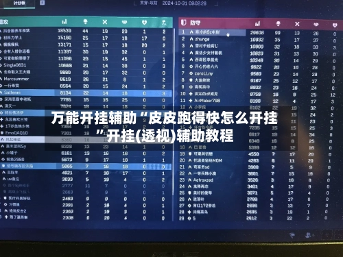 万能开挂辅助“皮皮跑得快怎么开挂”开挂(透视)辅助教程-第2张图片