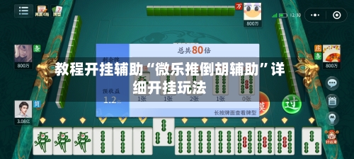 教程开挂辅助“微乐推倒胡辅助”详细开挂玩法-第3张图片