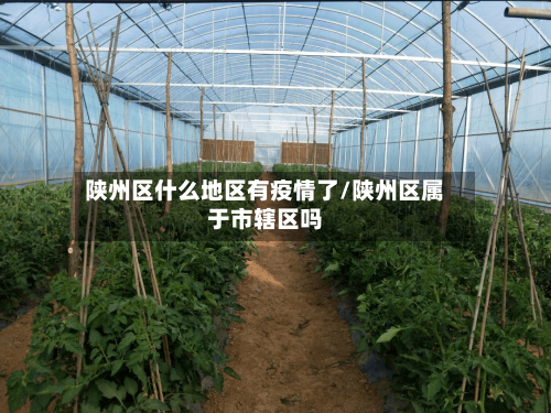 陕州区什么地区有疫情了/陕州区属于市辖区吗