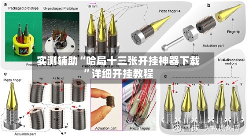 实测辅助“哈局十三张开挂神器下载	”详细开挂教程-第3张图片