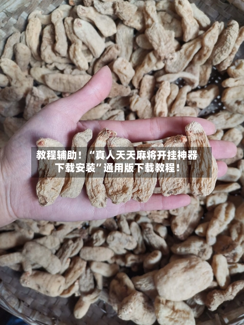 教程辅助！“真人天天麻将开挂神器下载安装	”通用版下载教程！-第2张图片