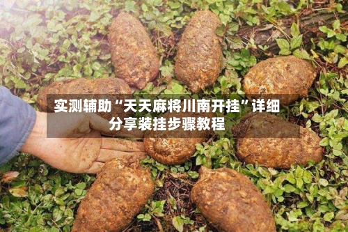 实测辅助“天天麻将川南开挂”详细分享装挂步骤教程-第2张图片