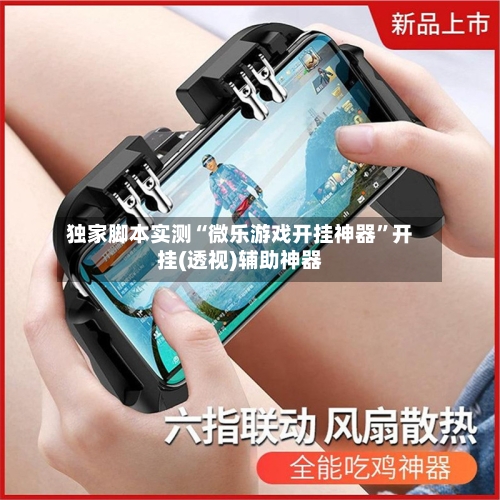 独家脚本实测“微乐游戏开挂神器	”开挂(透视)辅助神器-第2张图片