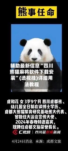 辅助最新信息“四川熊猫麻将软件下载安装”(透视挂)详细用法教程-第3张图片