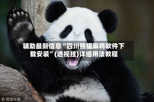 辅助最新信息“四川熊猫麻将软件下载安装	”(透视挂)详细用法教程-第2张图片