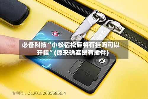 必备科技“小松宿松麻将有挂吗可以开挂”(原来确实是有插件)-第2张图片