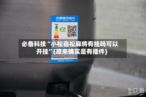 必备科技“小松宿松麻将有挂吗可以开挂	”(原来确实是有插件)-第3张图片